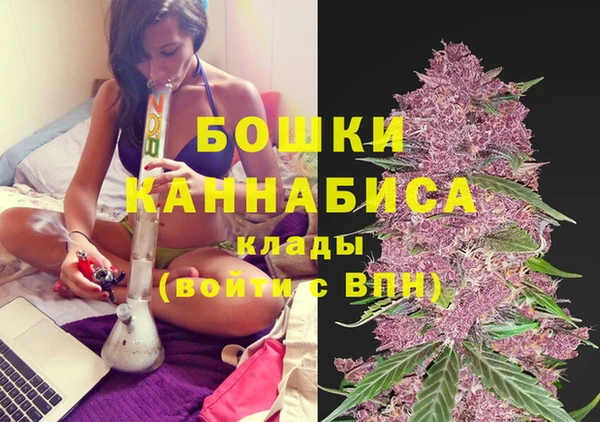 эйфоретик Зерноград