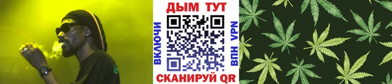 Конопля сатива  Отрадное 